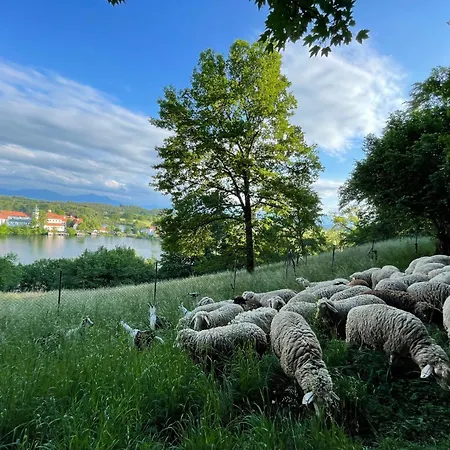 Chiemgau, Seeblick, Haus Am Weinberg, 83370 Oberbayern Seeon-Seebruck