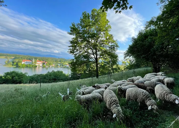 Chiemgau, Seeblick, Haus Am Weinberg, 83370 Oberbayern Seeon-Seebruck